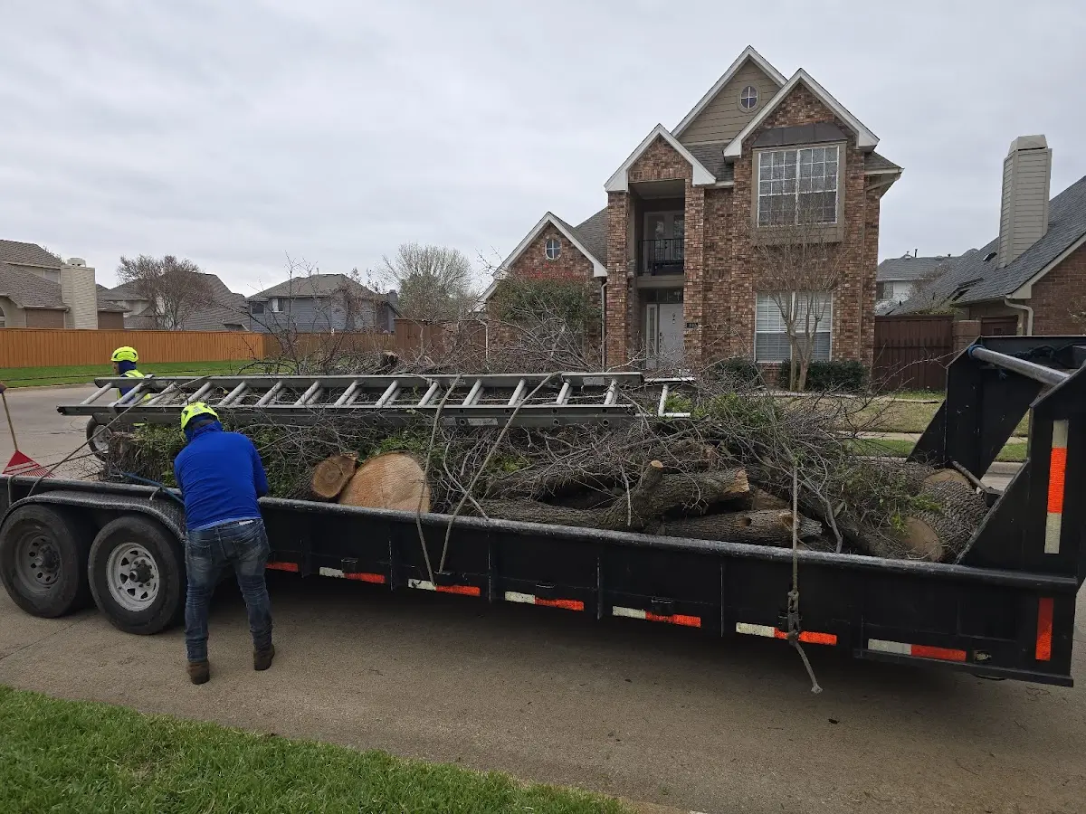 Expert Tree Pest Control with proper safety equipment in Wyoming